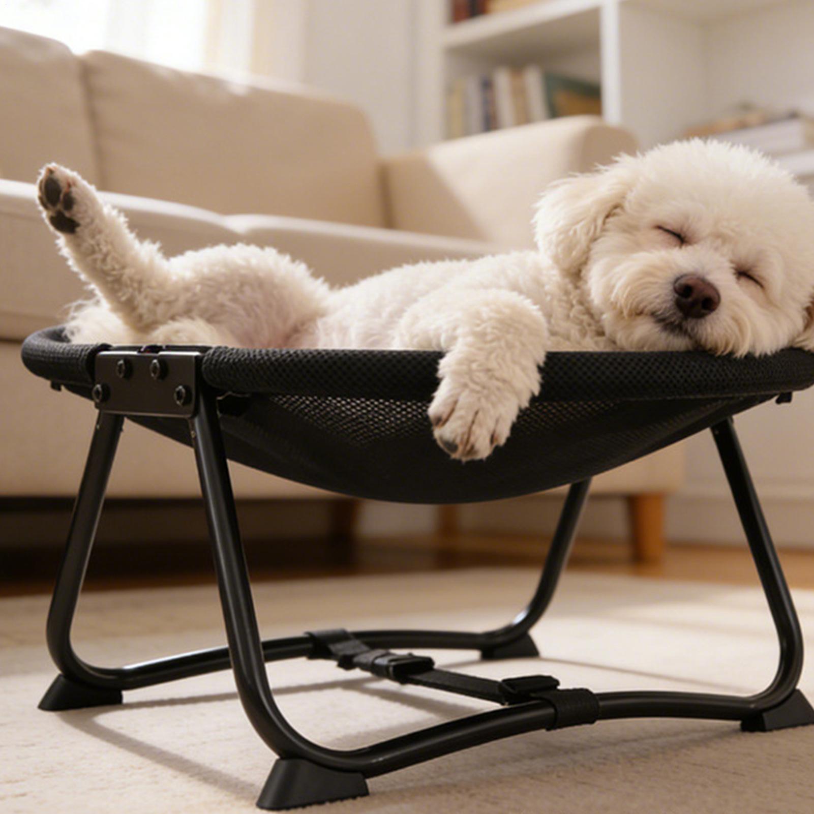 Dog Cot Bed Foldable Soft Hamm - Outdoor Camping Dog Bed review and price
