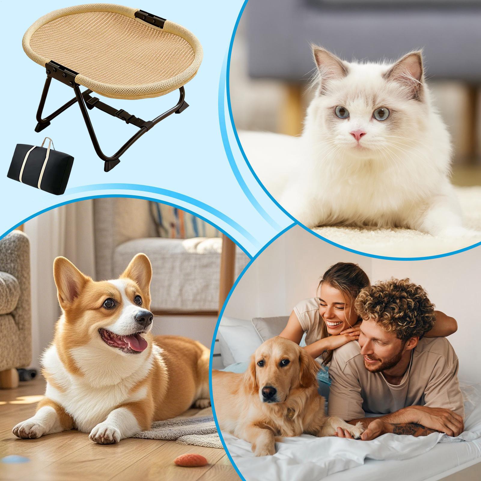 Dog Cot Bed Foldable Soft Hamm - Outdoor Camping Dog Bed review and price