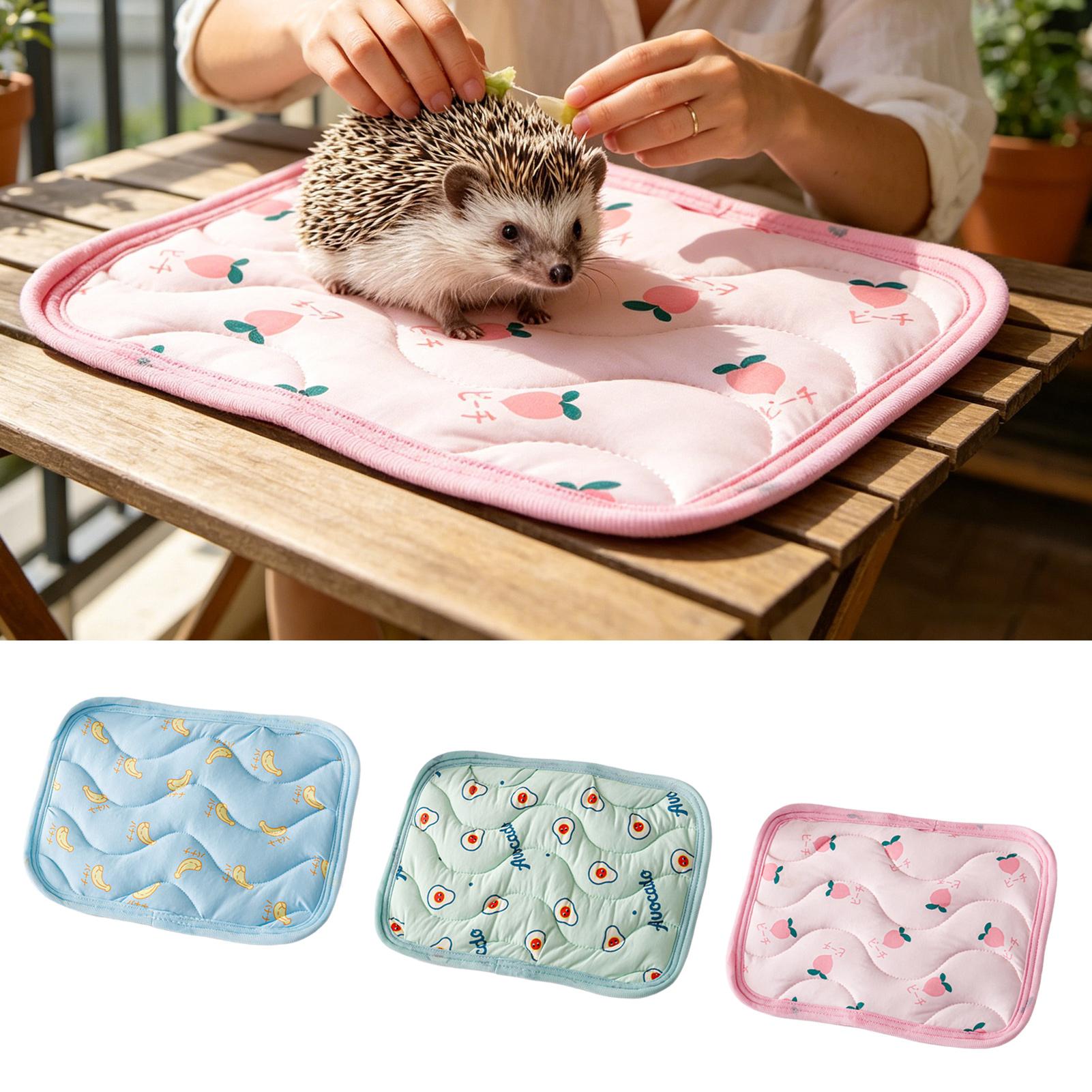 Pet Cooling Mat Washable Small - Outdoor Camping Dog Bed review and price