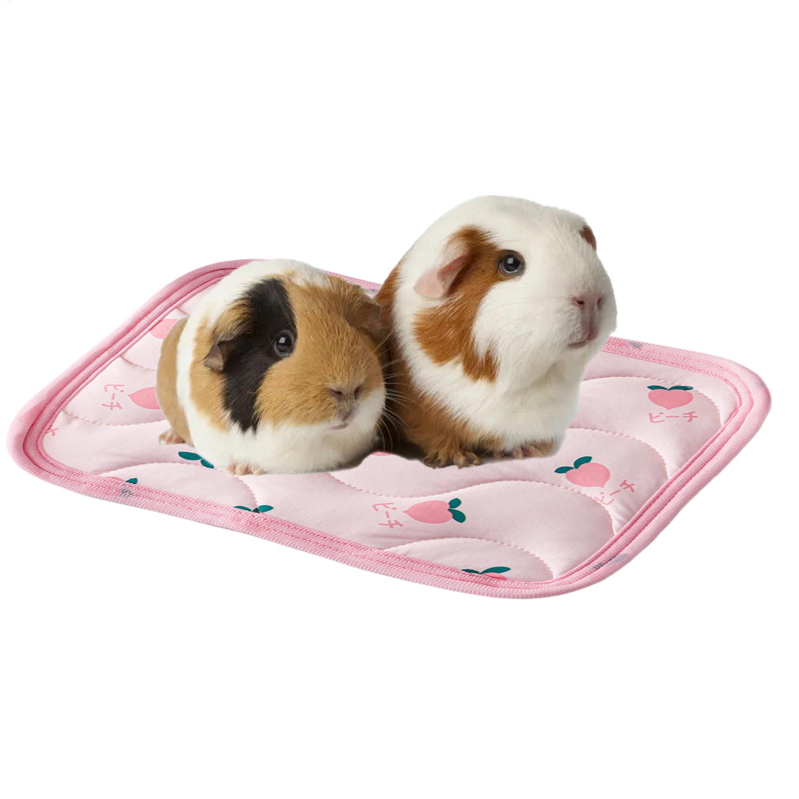 Pet Cooling Mat Washable Small - Outdoor Camping Dog Bed review and price