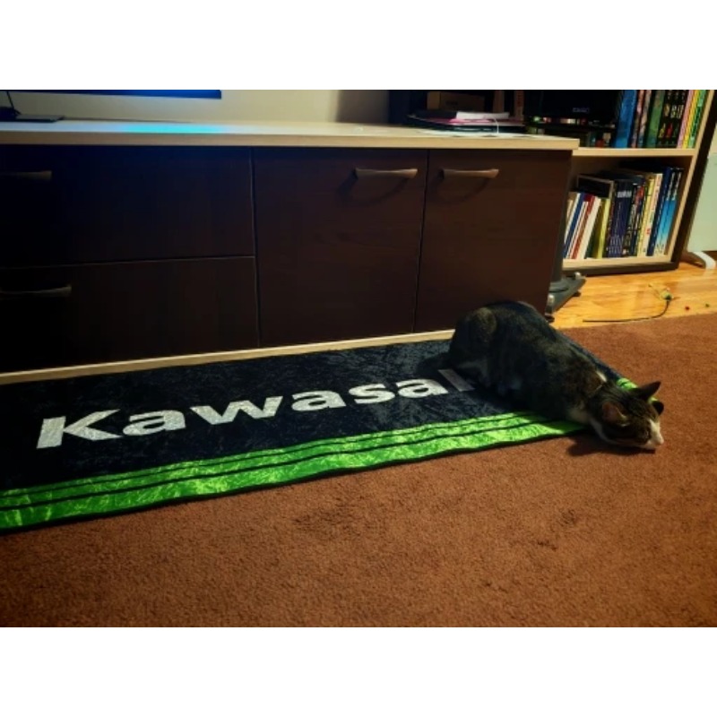 Kawasaki Motorcycle Carpet Gar - Camping Quad review and price