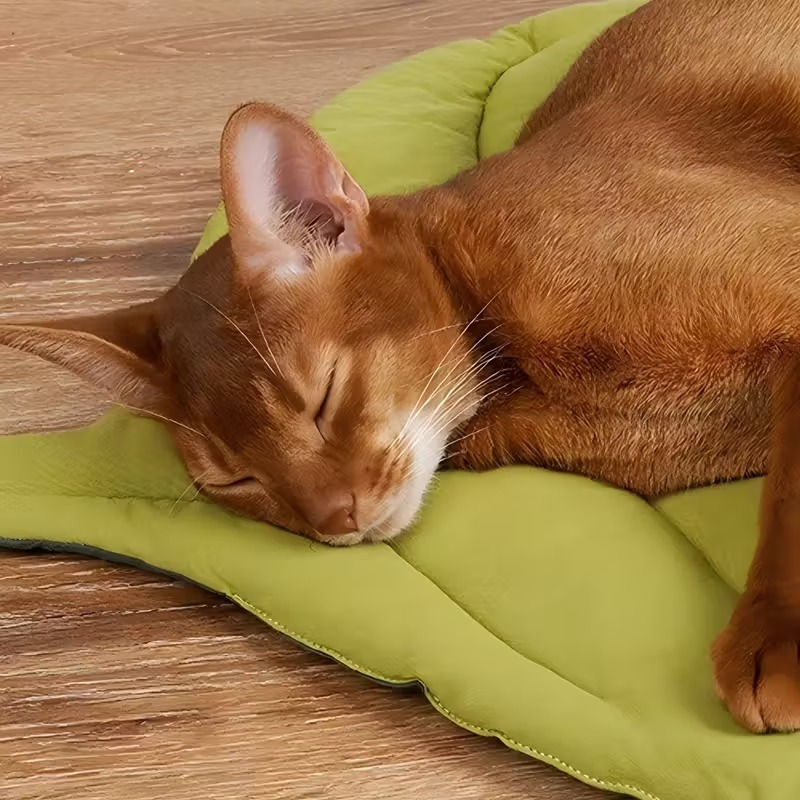 Reversible Soft Leaf Pet Cushi - Outdoor Camping Dog Bed review and price