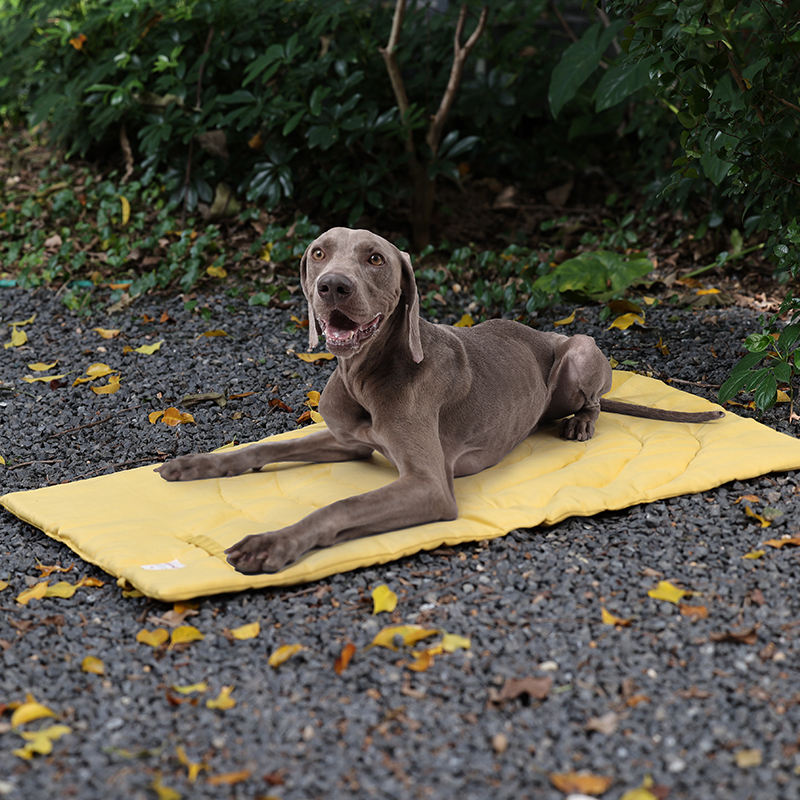 Portable Pet Mat Foldable Pet  - Outdoor Camping Dog Bed review and price