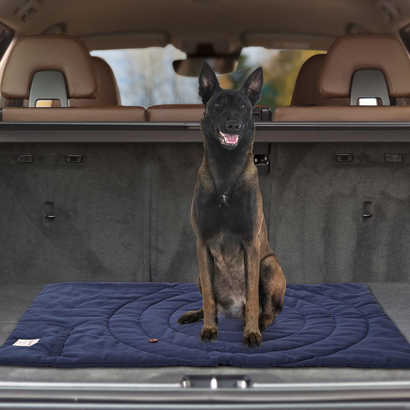 Portable Pet Mat Foldable Pet  - Outdoor Camping Dog Bed review and price