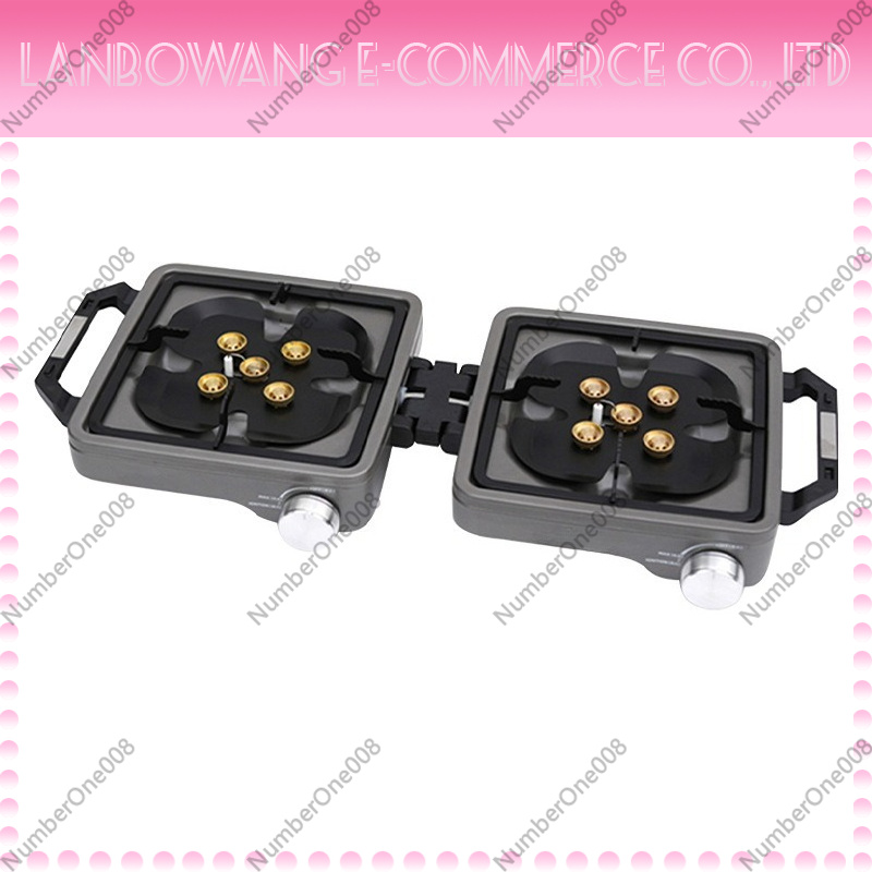 Outdoor Dual Burner High Power - Outdoor Camping Gas Stove review and price