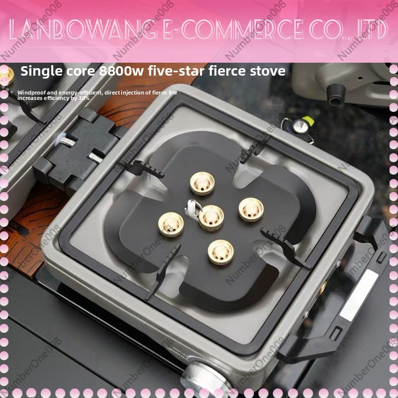 Outdoor Dual Burner High Power - Outdoor Camping Gas Stove review and price