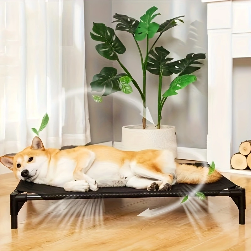 Cooling Elevated Dog Bed - Rai - Outdoor Camping Couch review and price
