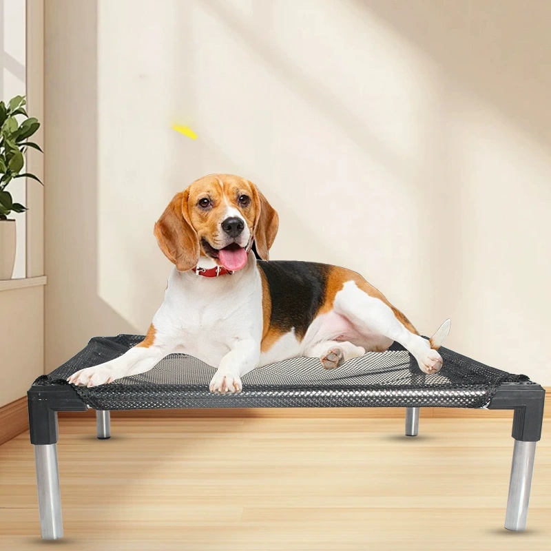 Cooling Elevated Dog Bed - Rai - Outdoor Camping Couch review and price
