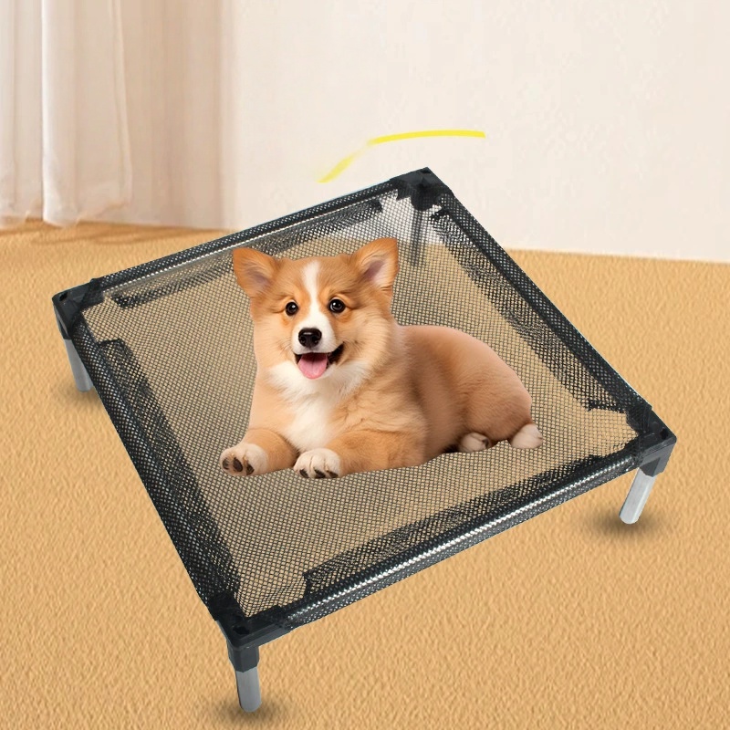 Cooling Elevated Dog Bed - Rai - Outdoor Camping Couch review and price