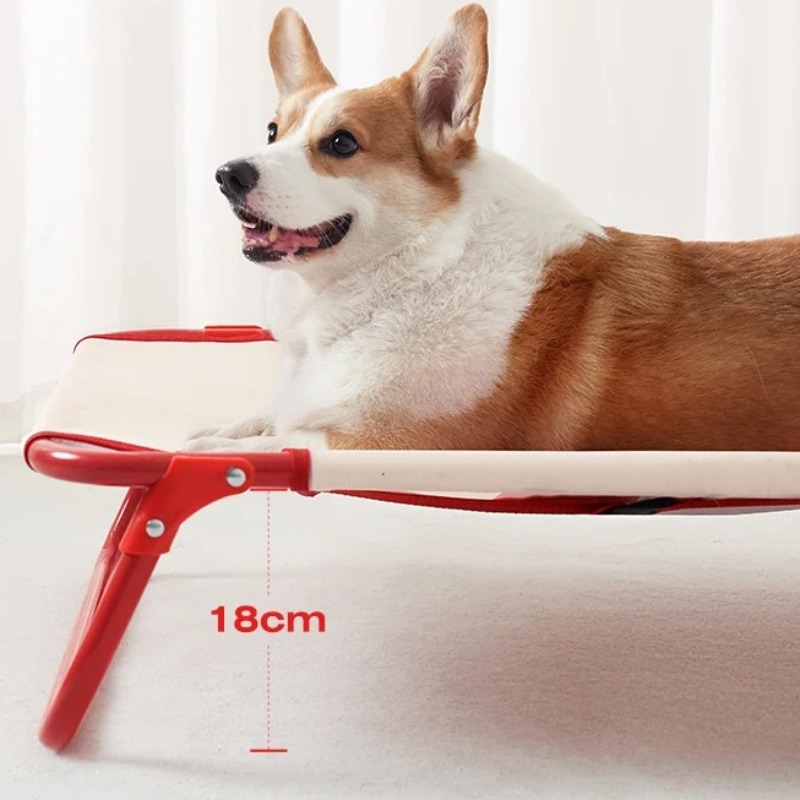 Foldable Dog Bed for Medium Do - Outdoor Camping Dog Bed review and price