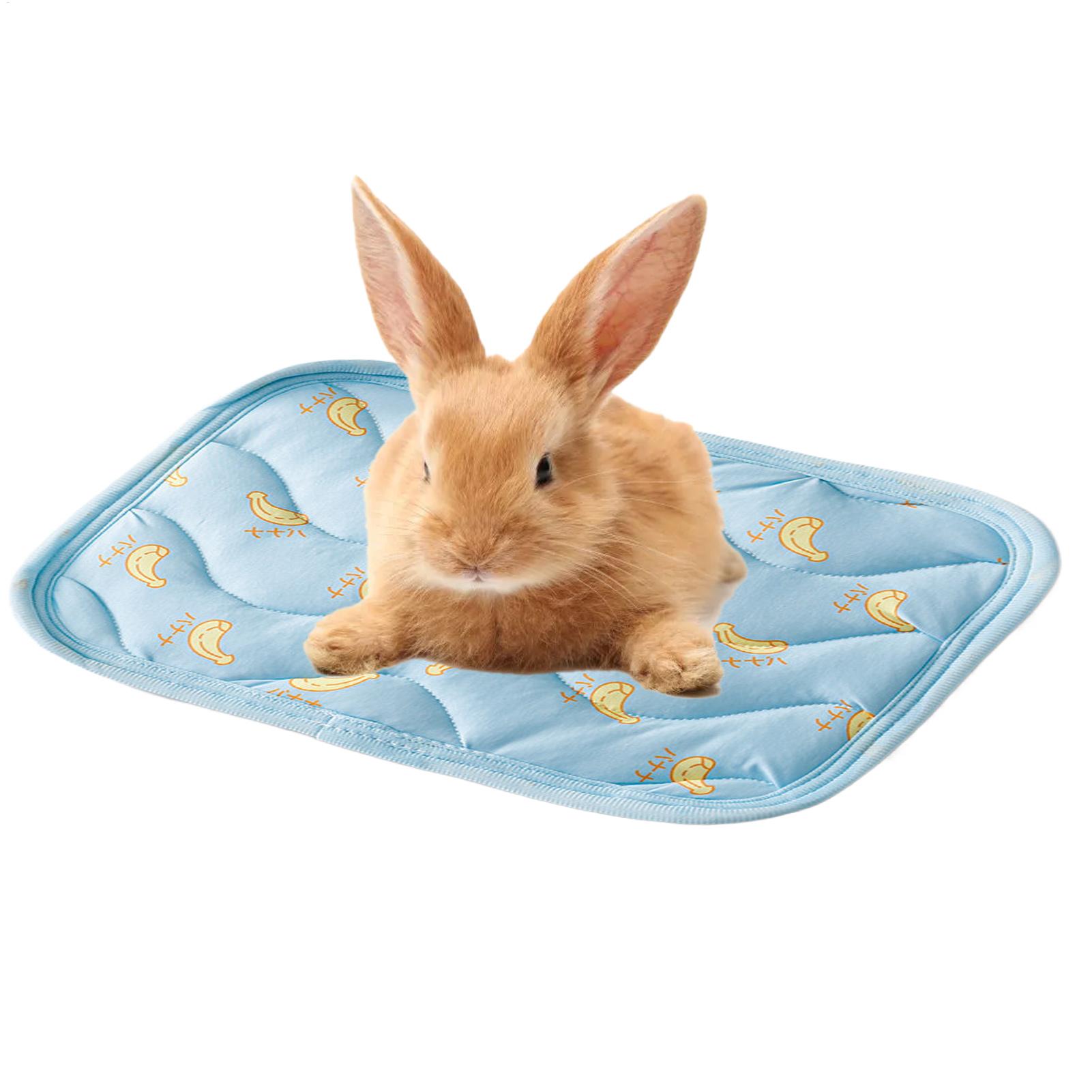 Portable Durable Pet Cooling M - Outdoor Camping Dog Bed review and price