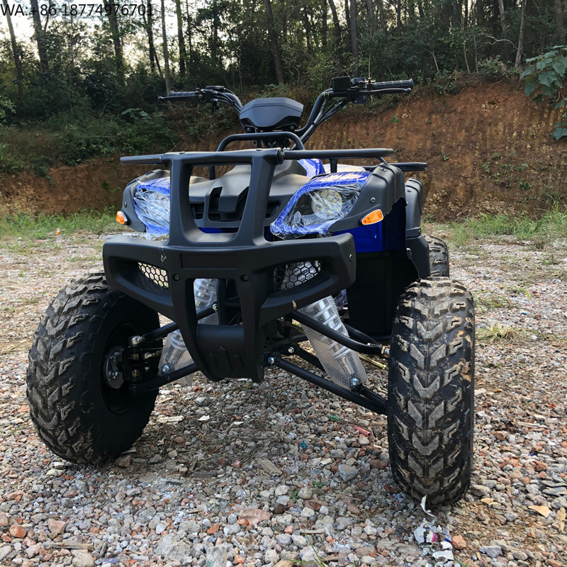 Electric 4 Seater 4WD 4-Stroke - Camping Quad review and price
