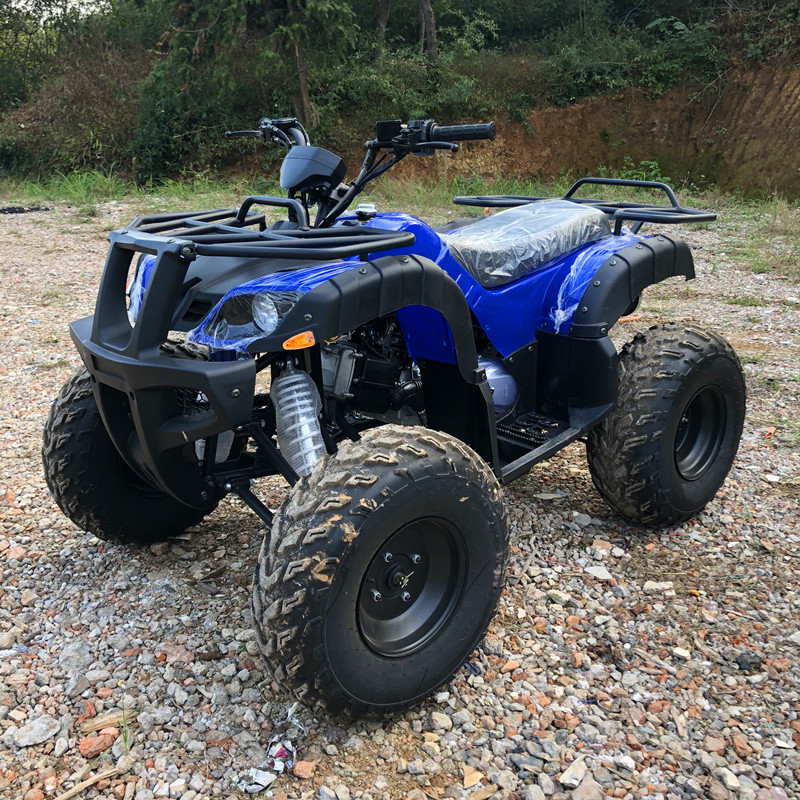 Electric 4 Seater 4WD 4-Stroke - Camping Quad review and price