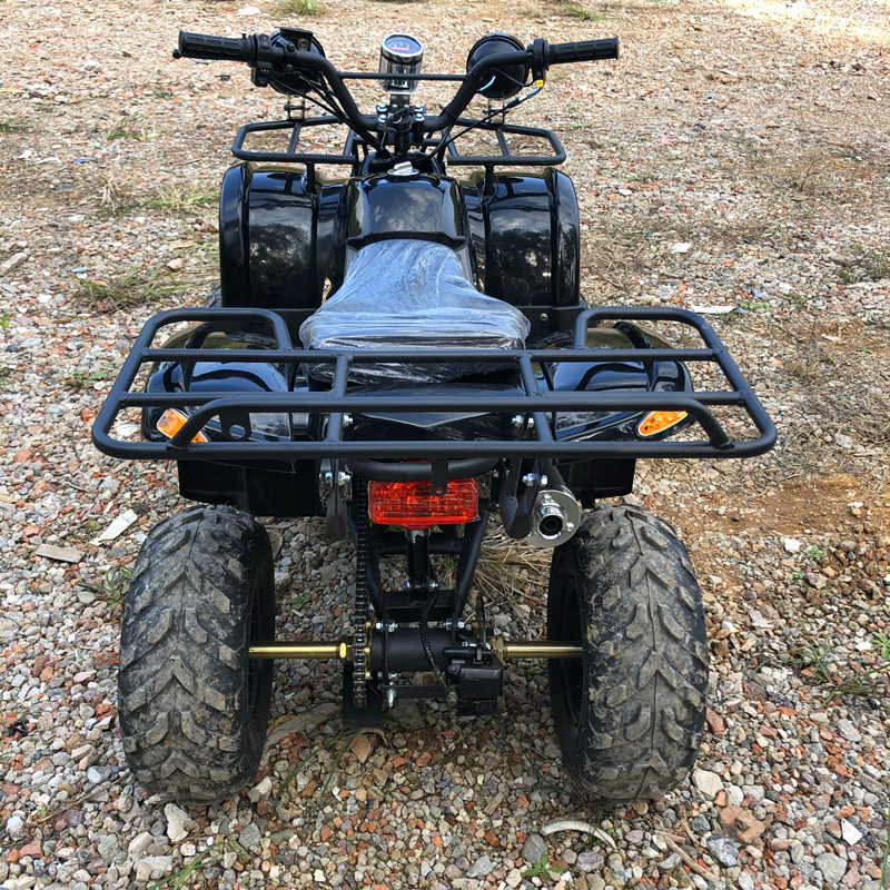 Electric 4 Seater 4WD 4-Stroke - Camping Quad review and price